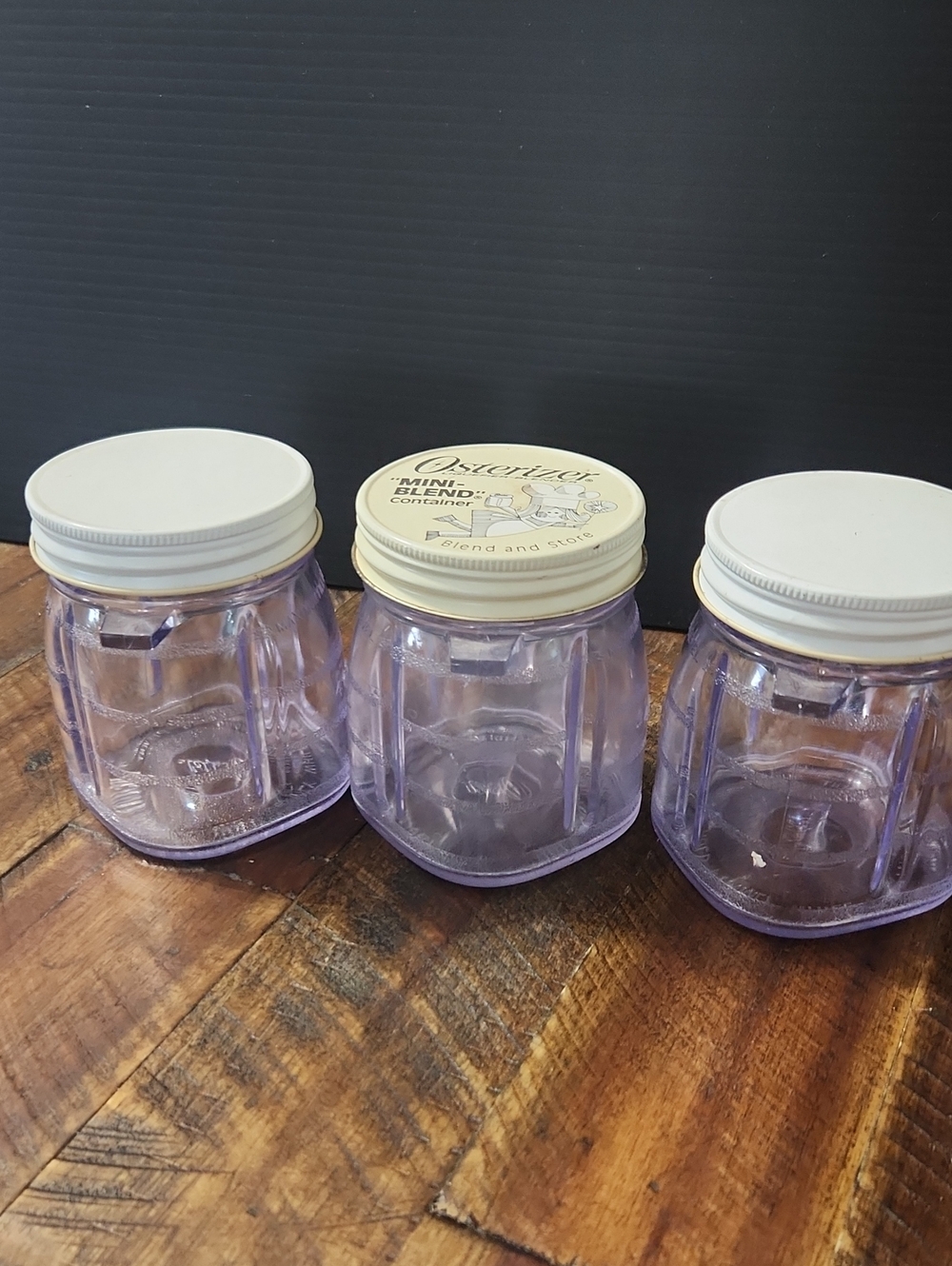 Osterizer Mini Blend and Store Plastic